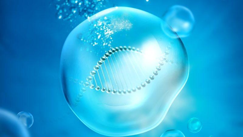 生物医药制剂OEM生产流程揭秘：从源头把控质量**