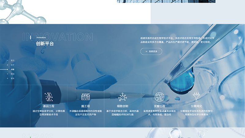 CDMO项目合作合同：关键要点与风险防范