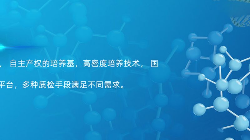 洗衣粉中的酶：揭秘清洁背后的科技力量**