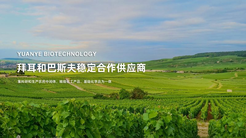 引物合成：揭秘生物科技中的关键环节**
