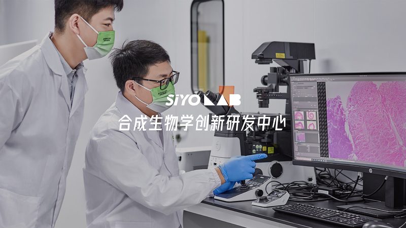 朝阳区基因检测中心费用构成解析