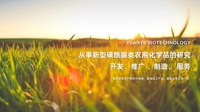 淀粉加工酶制剂：如何精准选型，提升加工效率**