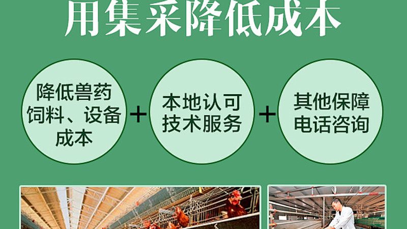 全基因组检测：揭秘其背后的科学价值与费用构成**