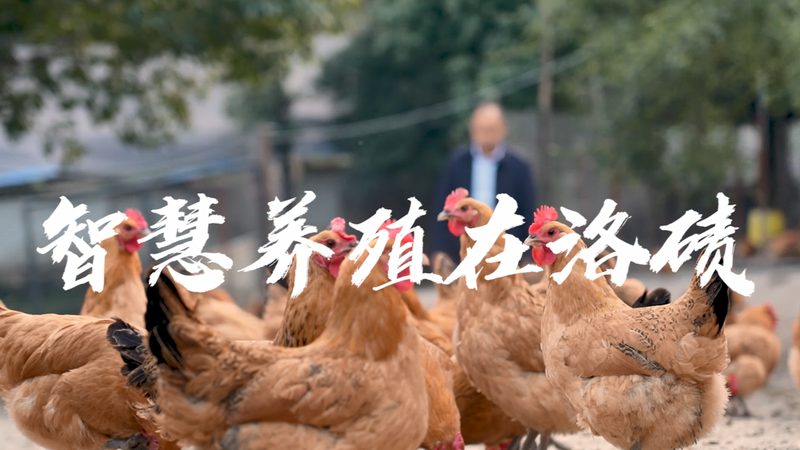 CRO优化案例：揭秘生物制药研发的“幕后英雄