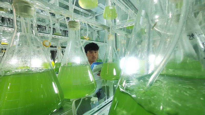 多道移液器精度对比：揭秘实验室精准度的秘密